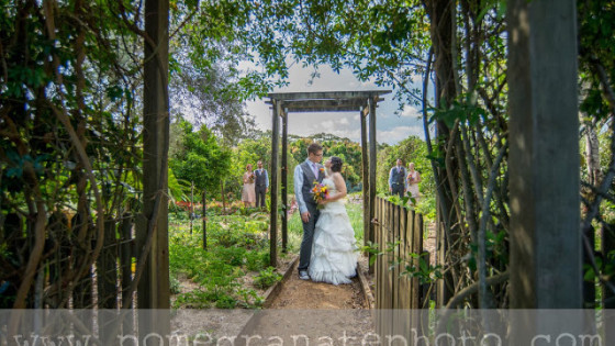 sunshine_coast_wedding_photographer089